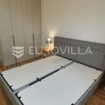 Rent 1 bedroom apartment of 60 m² in Zagreb