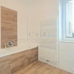 Rent 2 bedroom apartment of 49 m² in Rožďalovice