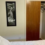 Rent 1 bedroom apartment in New York