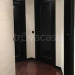 Rent 3 bedroom apartment of 140 m² in Rovigo