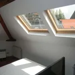 Rent 1 bedroom apartment in brussels