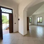 Rent 3 bedroom apartment of 73 m² in Roma