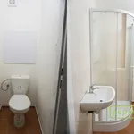 Rent 1 bedroom apartment of 38 m² in Větřní