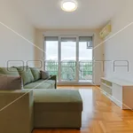 Rent 1 bedroom apartment of 55 m² in City of Zagreb