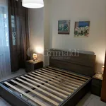 Rent 2 bedroom apartment of 50 m² in Roma