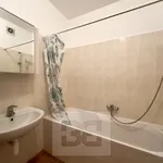 Rent 2 bedroom apartment in Praha 3