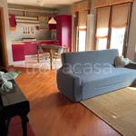 Rent 4 bedroom apartment of 100 m² in Colorno