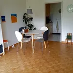 2 room apartment in Schaffhausen, furnished, temporary