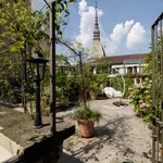 Rent 2 bedroom apartment of 70 m² in turin