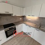 Rent 3 bedroom apartment of 7741 m² in Brno