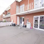 Rent 2 bedroom apartment in Zulte