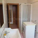 Rent 4 bedroom apartment of 90 m² in Bologna