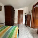 Rent 2 bedroom apartment of 60 m² in Vibo Valentia