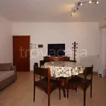 Rent 2 bedroom apartment of 50 m² in Milano