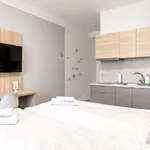 Studio o rozloze 30 m² v prague