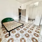 Rent 4 bedroom apartment of 85 m² in Campobasso