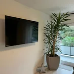 Rent 3 bedroom apartment of 80 m² in Köln