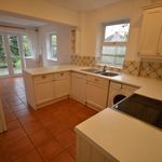 Rent 1 bedroom flat in New Forest