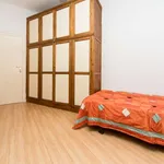 Rent a room of 150 m² in madrid