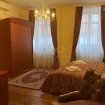 Rent 4 bedroom apartment of 110 m² in Plzeň