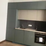 Rent 2 bedroom apartment of 40 m² in Torino