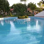 Rent 2 bedroom apartment of 40 m² in Forio