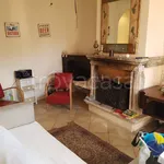 Rent 1 bedroom apartment of 50 m² in Grottaferrata