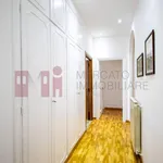 Rent 4 bedroom apartment of 19 m² in Roma