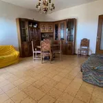 Rent 3 bedroom apartment of 100 m² in Foggia