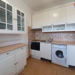 Rent 2 bedroom apartment of 45 m² in Ostrava