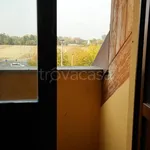 Rent 2 bedroom apartment of 60 m² in Torino