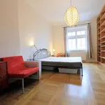 Rent 2 bedroom apartment of 53 m² in Praha