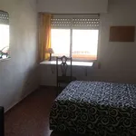 Rent a room of 130 m² in valencia