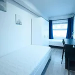 Rent 1 bedroom apartment in Brno