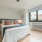 Rent 1 bedroom apartment of 187 m² in Madrid