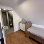 Rent 1 bedroom apartment of 45 m² in City of Zagreb