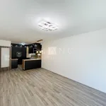 Pronajměte si 3 ložnic/e byt o rozloze 90 m² v Prague