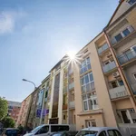 Rent 2 bedroom apartment of 45 m² in Brno