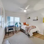 Rent 1 bedroom apartment in Austin