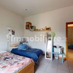 Rent 3 bedroom apartment of 65 m² in Bologna