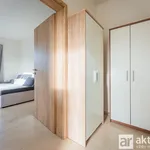 Rent 1 bedroom apartment of 26 m² in Kozojedy u Kostelce nad Černými Lesy