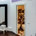 Rent 1 bedroom apartment in Bologna