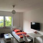 Rent 1 bedroom apartment of 21 m² in Kassel