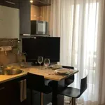 Rent 2 bedroom apartment of 40 m² in Pisa