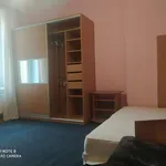 Rent a room in poznan