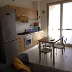 Rent 1 bedroom apartment of 60 m² in vaprio d adda