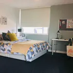 Rent 1 bedroom flat in Coventry