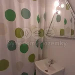 Pronajměte si 1 ložnic/e byt o rozloze 36 m² v Opava