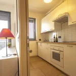 Rent 1 bedroom apartment in Milano