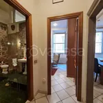 Rent 3 bedroom apartment of 100 m² in Viterbo